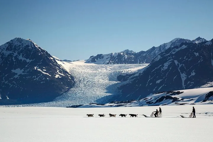 Dog sled teams traversing expansive snowfield with massive Knik Glacier in background